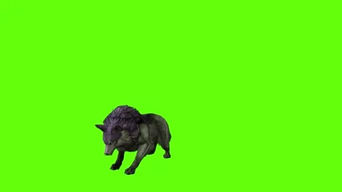 Monster  Wolf jump attack  green screen animation 3D rendering Stock Footage 297157947