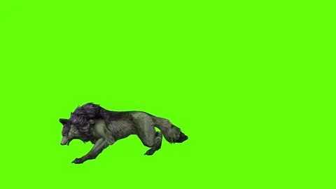 Monster  Wolf jump attack green screen animation 3D rendering Stock Footage 297157954
