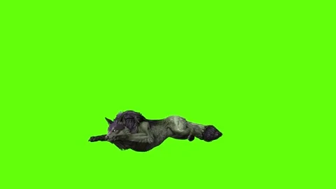 Monster  Wolf lay down  green screen animation 3D rendering Stock Footage 297158025