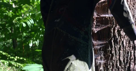 Monster in the Woods Stock Footage 70013834