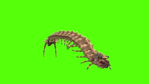 Monster Worm Bite Forward Green Screen Animation 4K Rendering Stock Footage 270021780