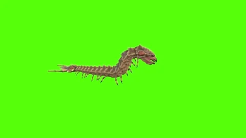 Monster Worm Crawl Forward Attack Mode Green Screen Animation 4K Rendering 動画素材 270021768