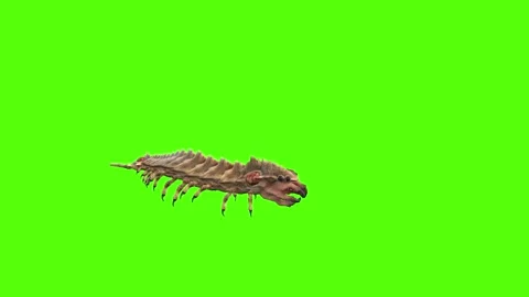 Monster Worm Crawl Green Screen Animation 4K Rendering Vidéo 270021783