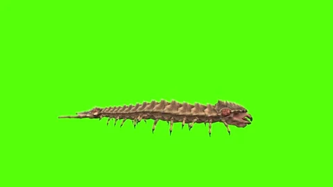 Monster Worm Crawl Green Screen Animation 4K Rendering Stock Footage 270021792