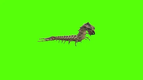 Monster Worm Crawl Right Combat mode Green Screen Animation 4K Rendering 動画素材 270021683