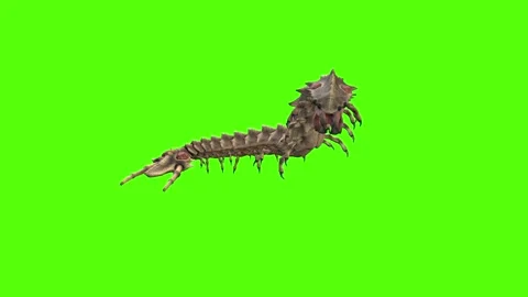 Monster Worm Crawl Right Combat Mode Green Screen Animation 4K Rendering Stockbeeldmateriaal 270021718