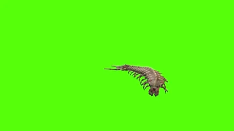 Monster Worm Crawl Right Wide Green Screen Animation 4K Rendering Stock Footage 270021684