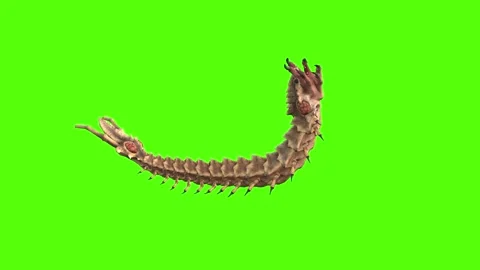 Monster Worm Death Green Screen Animation 4K Rendering Vídeos de archivo 270021874