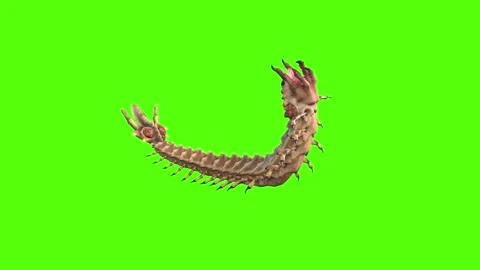 Monster Worm Death Green Screen Animation 4K Rendering Vídeo Stock 270021876