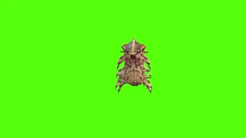 Monster Worm Getting Hit Front Green Screen Animation 4K Rendering Video stock 270021873