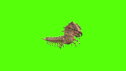 Monster Worm Getting Hit Left Green Screen Animation 4K Rendering Stock Footage 270021868