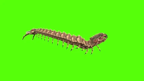 Monster Worm Strafe Left Attack Green Screen Animation 4K Rendering Video stock 270021830