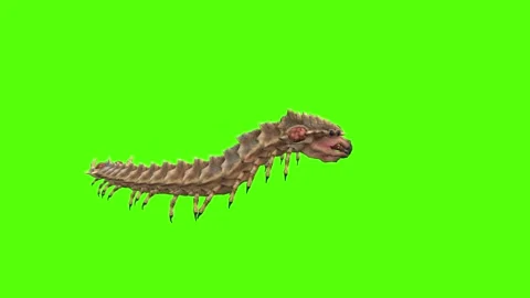 Monster Worm Strafe Left Green Screen Animation 4K Rendering 動画素材 270021813