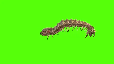 Monster Worm Strafe Right Attack Green Screen Animation 4K Rendering Stock Footage 270021811