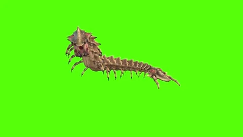 Monster Worm Turn left Combat Mode Green Screen Animation 4K Rendering Stock Footage 270021754