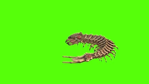 Monster Worm Turn left Position Green Screen Animation 4K Rendering Stock Footage 270021763