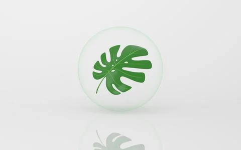 Monstera and bubble with white background, 3d rendering. Stock Illustration