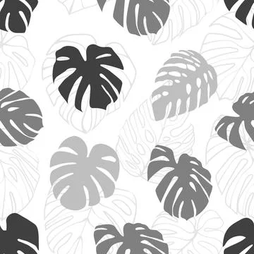 Monstera Deliciosa Leaf Seamless Pattern. Perfect for Textile, Fabric, Back.. Illustrazione stock