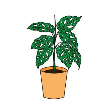 Monstera flower image. Stock Illustration