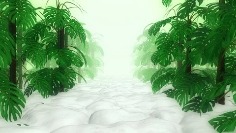 Monstera in Garden Stock Footage 123294214