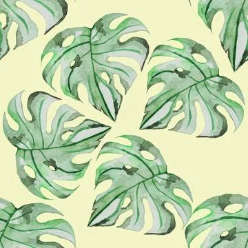 Monstera Stock Illustration