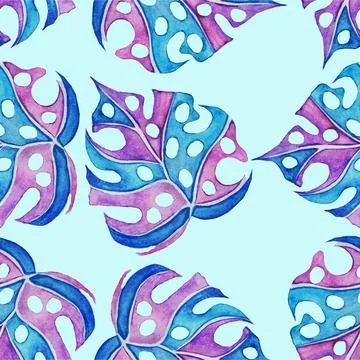 Monstera Stock Illustration