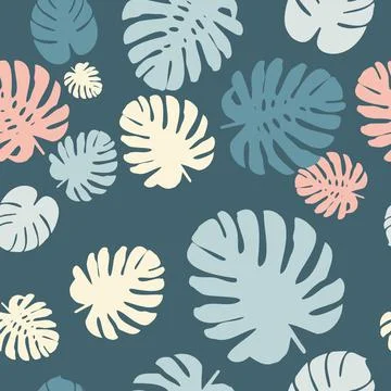 Monstera Stock Illustration