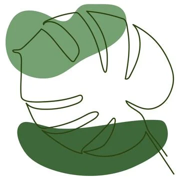 Monstera Stock Illustration