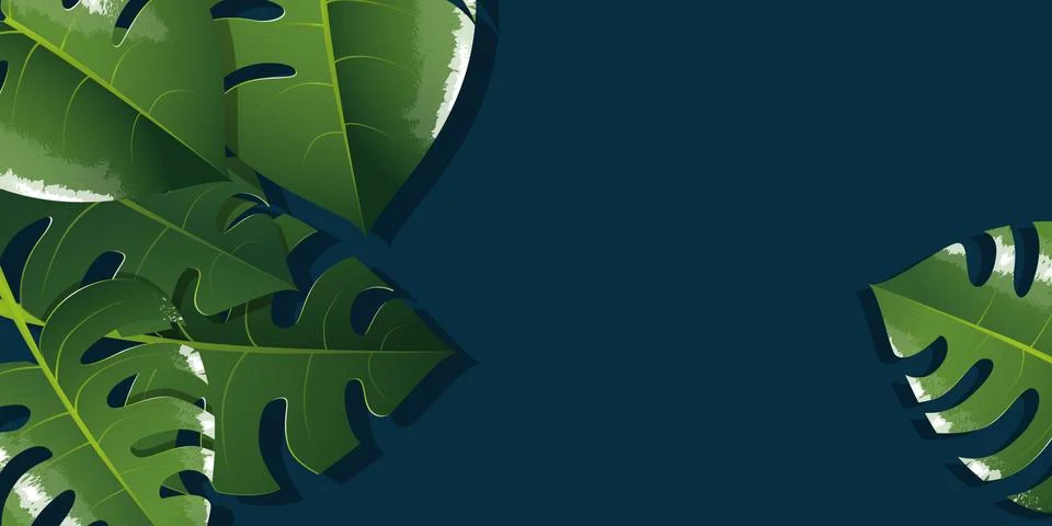 Monstera illustration background Stock Illustration