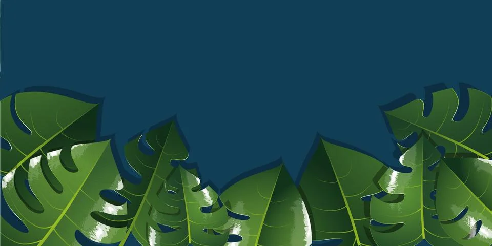 Monstera illustration background Stock Illustration