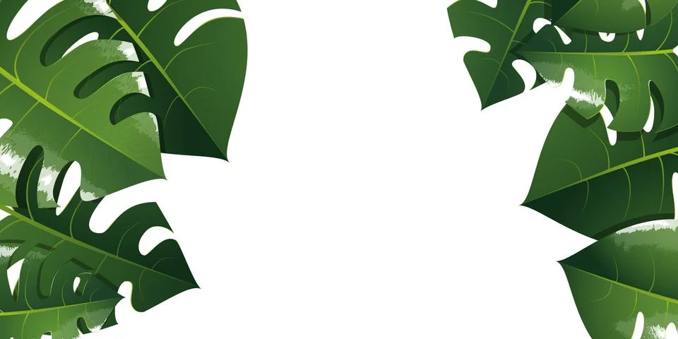Monstera illustration background Stock Illustration