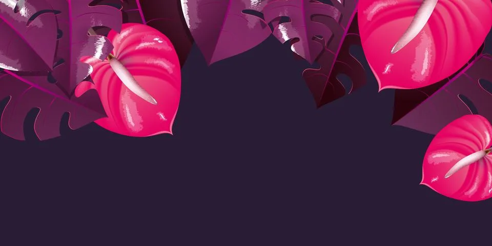 Monstera illustration background Stock Illustration