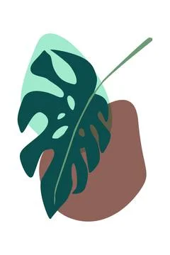 Monstera leaf on abstract shapes vector design Stock Illustration