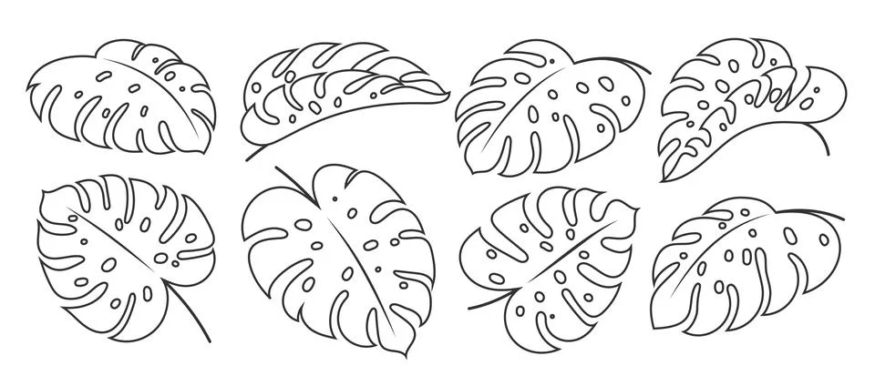 Monstera leaf black line set coloring page leaves Stock Illustration