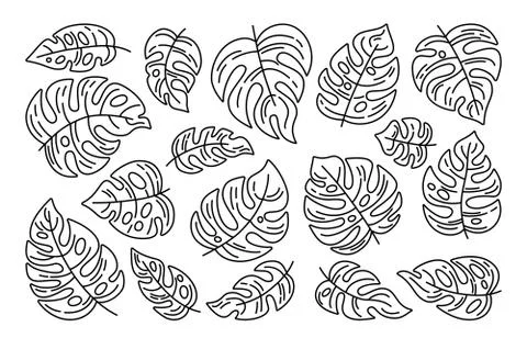 Monstera leaf black linear set tropical vector Stock Illustration