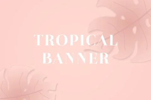 Monstera leaf in the corner of pink backdrop. 스톡 일러스트