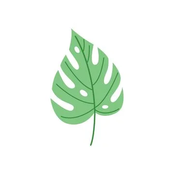 Monstera Leaf Cute Hand Drawn Style Stock Illustration