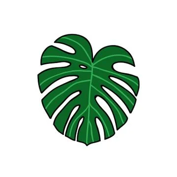 Monstera leaf doodle icon, vector hand draw illustration Illustrazione stock
