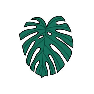 Monstera leaf doodle icon, vector hand draw illustration Illustrazione stock