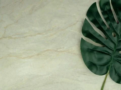 Monstera leaf on empty brown matt marble Stock Photos