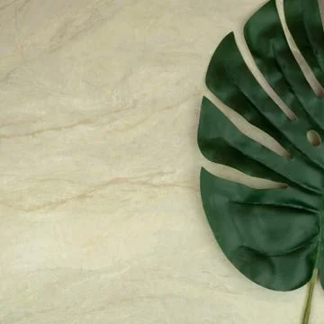 Monstera leaf on empty brown matt marble Stock Photos