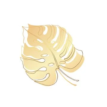 Monstera leaf, gold. On a white background. Vector illustration. Modern Stock Illustration