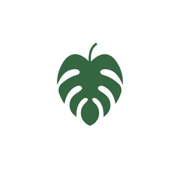 Monstera leaf icon vector illustration design template Stock Illustration