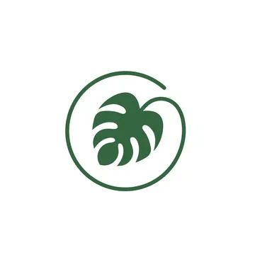 Monstera leaf icon vector illustration design template Stock Illustration