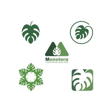 Monstera leaf icon vector illustration design template Illustrazione stock