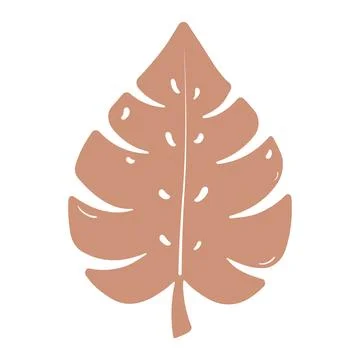 Monstera Leaf Icon On White Background Isolated Vector Stock Illustration