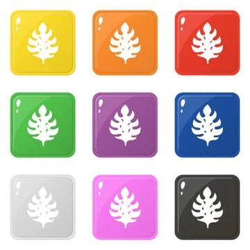 Monstera leaf icons set 9 colors isolated on white. Collection of glossy squa Stock Illustration