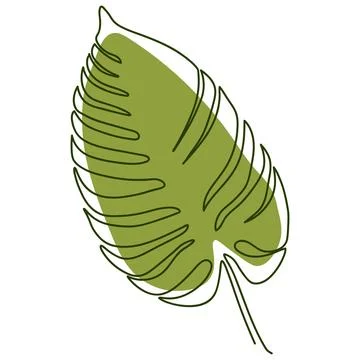 Monstera leaf Stock Illustration