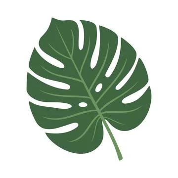 Monstera Leaf Illustration Vector Template Stock Illustration