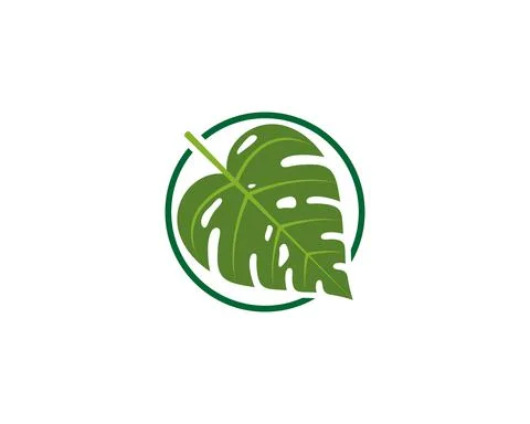 Monstera leaf inside the circle logo Stock Illustration